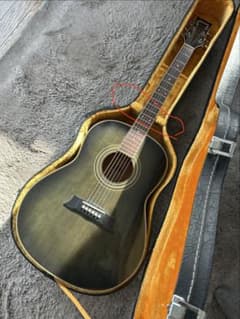 Morris アコースティックギター　MG-301SBU ハードケース付のサムネイル