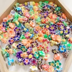 処分 プルメリアのサムネイル