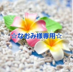 ☆なおみ様専用☆のサムネイル