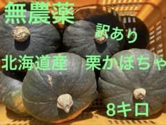 無農薬　北海道産　訳あり栗かぼちゃ　8キロのサムネイル