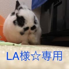 タカミスキンピール毛穴美肌のサムネイル
