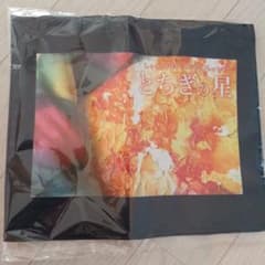 新品　とちぎの星プリント柄　バックのサムネイル