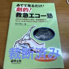あてて見るだけ!劇的!救急エコー塾 : ABCDの評価から骨折、軟部組織まで、…のサムネイル