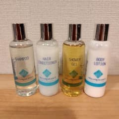 Travel shampoo set, hotel amenity travel set, argan oil