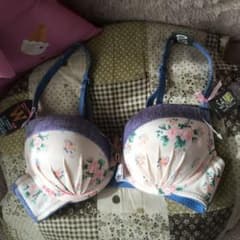 ブラジャーのサムネイル
