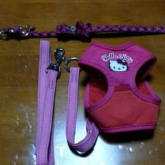 めろたん様専用♡わんちゃんのリードと首輪のサムネイル