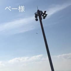 新品未使用 パンテーン 洗い流さないトリートメントのサムネイル