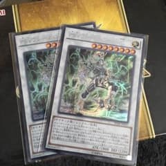 サイフレームロードω2枚のサムネイル