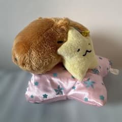 【廃盤限定品】カピバラさん キュルッとショップ限定　お星さまのおはなしぬいぐるみのサムネイル