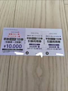 Mt.Naeba(苗場・かぐら共通)早割1日券 引換券×2回券 - メルカリ