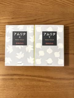 アムリタ 上下2冊セットのサムネイル