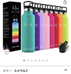 HoneyHolly 魔法瓶　ステンレスボトル　1000mlのサムネイル