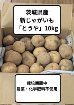 【送料無料！たっぷり10kg】新じゃが〈とうや〉農薬・化学肥料不使用のサムネイル