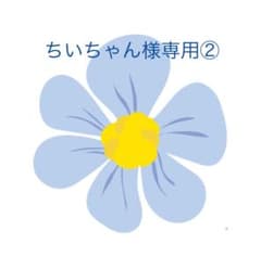 ちいちゃん様専用②のサムネイル