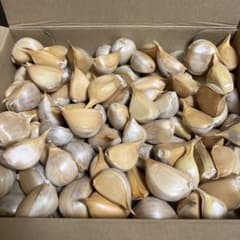 ジャンボにんにく 粒 約1.1kg 箱込 大小混③のサムネイル