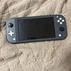 Nintendo Switch Lite グレー 本体のサムネイル