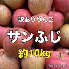 30 ☆サンふじ　りんご　訳あり　家庭用約10kg　商品説明お読みくださいのサムネイル