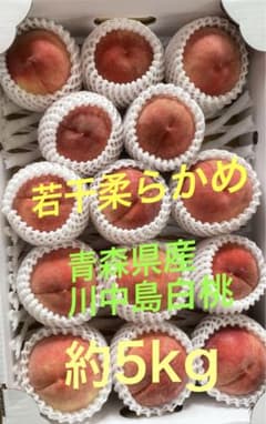 川中島白桃 青森県産 家庭用 5kgのサムネイル