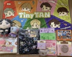 [라스트원상부] BT21이치방쿠지경품 다수 + TinyTAN 상품 19점