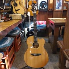 PRS SE A15AL Thinline エレアコ (管理イ) PRS SE A15AL Thinline エレアコ (管理イ) - メルカリ