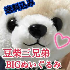 【希少美品】豆柴三兄弟BIGぬいぐるみ♡のサムネイル