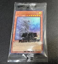 THE LADY'S PROTECTORS(未開封)レディープロテクター