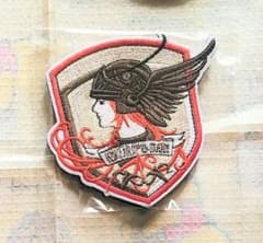 エースコンバット 公式着脱式刺繍ワッペン ラーズグリーズ隊 30周年