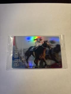 【最安値】トウカイテイオー 箔押し ノーマル サラブレッドホース 岡部 サイン 最安値】トウカイテイオー 箔押し ノーマル サラブレッドホース 岡部