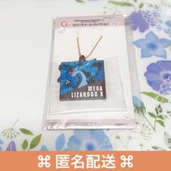 포켓몬 이치 반 복권 고무 매력 컬렉션 메가 리자돈 X