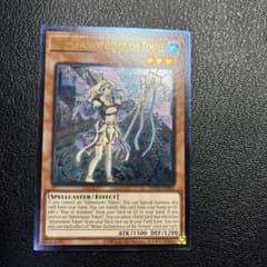 遊戯王 英語 聖殿の水遣い レリーフ 北米 - メルカリ