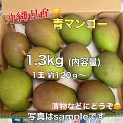 マンゴー(摘果マンゴー)青マンゴー グリーンマンゴー 1.3kg - メルカリ