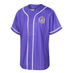 新品未開封 サンフレッチェ広島 2025ベースボールシャツ Lサイズ