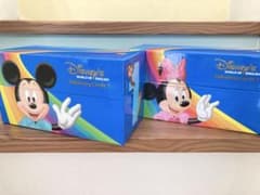Disney World of English Talkalong Cards - メルカリ