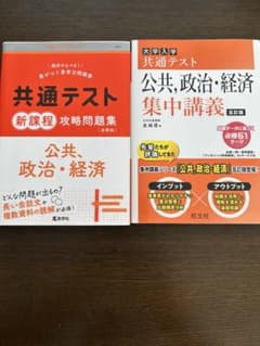 共通テスト 公共、政治・経済 参考書2冊セットのサムネイル