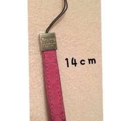 リュウラブ❤️さん専用（仮）COACH ストラップのサムネイル