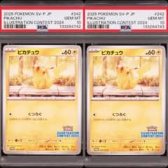 ピカチュウ 熱風のアリーナ イラストレーション 2024 PSA10 連番