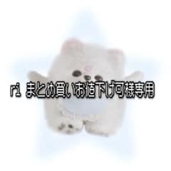 ri まとめ買いお値下げ可様専用ページ - メルカリ