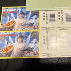 ナガシマスパーランド ジャンボ海水プール 招待券 2枚のサムネイル