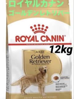 賞味期限☆最新 ロイヤルカナン ゴールデンレトリバー 12kg