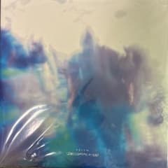 踊ってばかりの国 PRISM アナログ LP 邦楽レコード - メルカリ