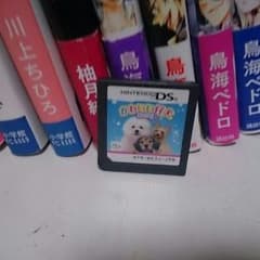 かわいい仔犬　DS3のサムネイル