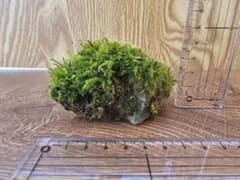 苔玉 天然石と苔 高さ約4cm　④のサムネイル