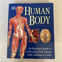HUMAN BODY - DK