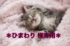 ＊ひまわり様専用＊のサムネイル