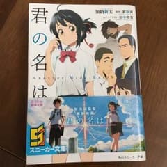 君の名は。アナザーストーリーのサムネイル