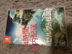 ゼルダの伝説 ティアーズ オブ ザ キングダムのサムネイル