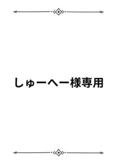しゅーへー様専用のサムネイル
