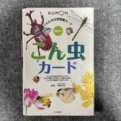 公文】昆虫カード KUMONくもんの自然図鑑カード こん虫カード 知育
