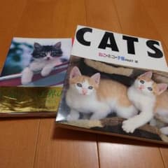写真集 【猫の本】、【CATS】2冊セット - メルカリ