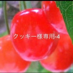 クッキー様専用-4のサムネイル